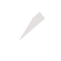 张家口临时保镖服务